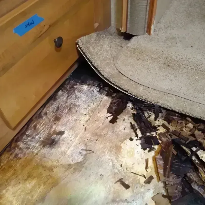 Wood Floor Water Damage in Mentor-on-the-Lake, OH